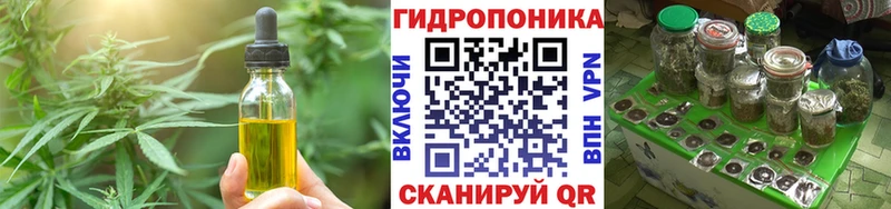 кракен tor  Артём  Cannafood конопля 