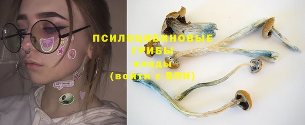 эйфоретик Алексеевка