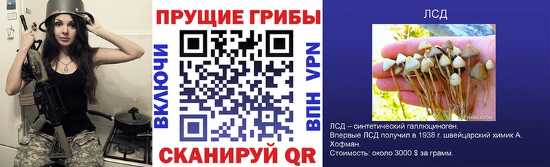 Галлюциногенные грибы Psilocybe Артём